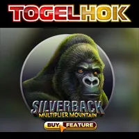 Silverback: Multiplier Mountain